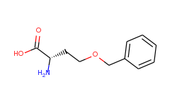 O-BENZYL-L-HOMOSERINE