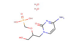 Cidofovir dihydrate