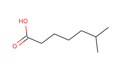 6-Methylheptanoic Acid