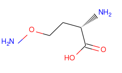 (S)-2-Amino-4-(aminooxy)butanoic acid