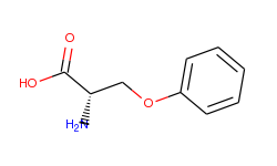 (S)-2-amino-3-phenoxypropanoic acid