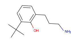 2-(3-Amino-propyl)-6-tert-butyl-phenol