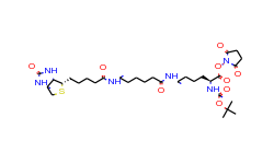 N2-t-Boc-N6-(biotinamido-6-N-caproylamido)lysine N-Hydroxysuccinimide Ester