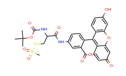 t-Boc-MTSEA-Fluorescein