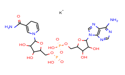 β-Nicotinamide adenine dinucleotide, reduced dipotassium salt